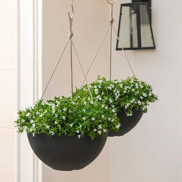 Nova Hanging Planter (Set of 2) | Wayfair North America