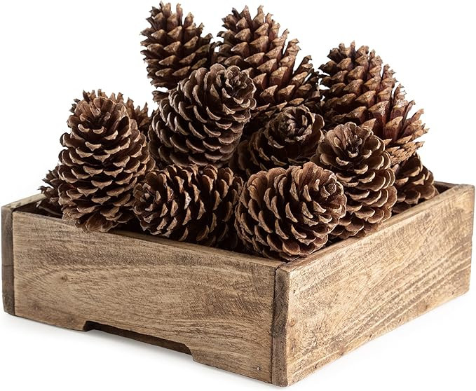ANDALUCA Pinecone Vase & Bowl Fillers | Scented Pine Cones Decor (Natural) | Amazon (US)