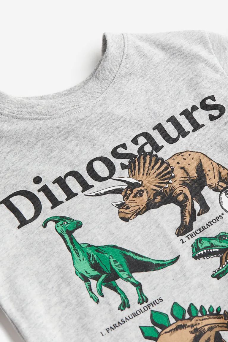 Long-sleeved T-shirt - Light gray melange/dinosaurs - Kids | H&M US | H&M (US + CA)