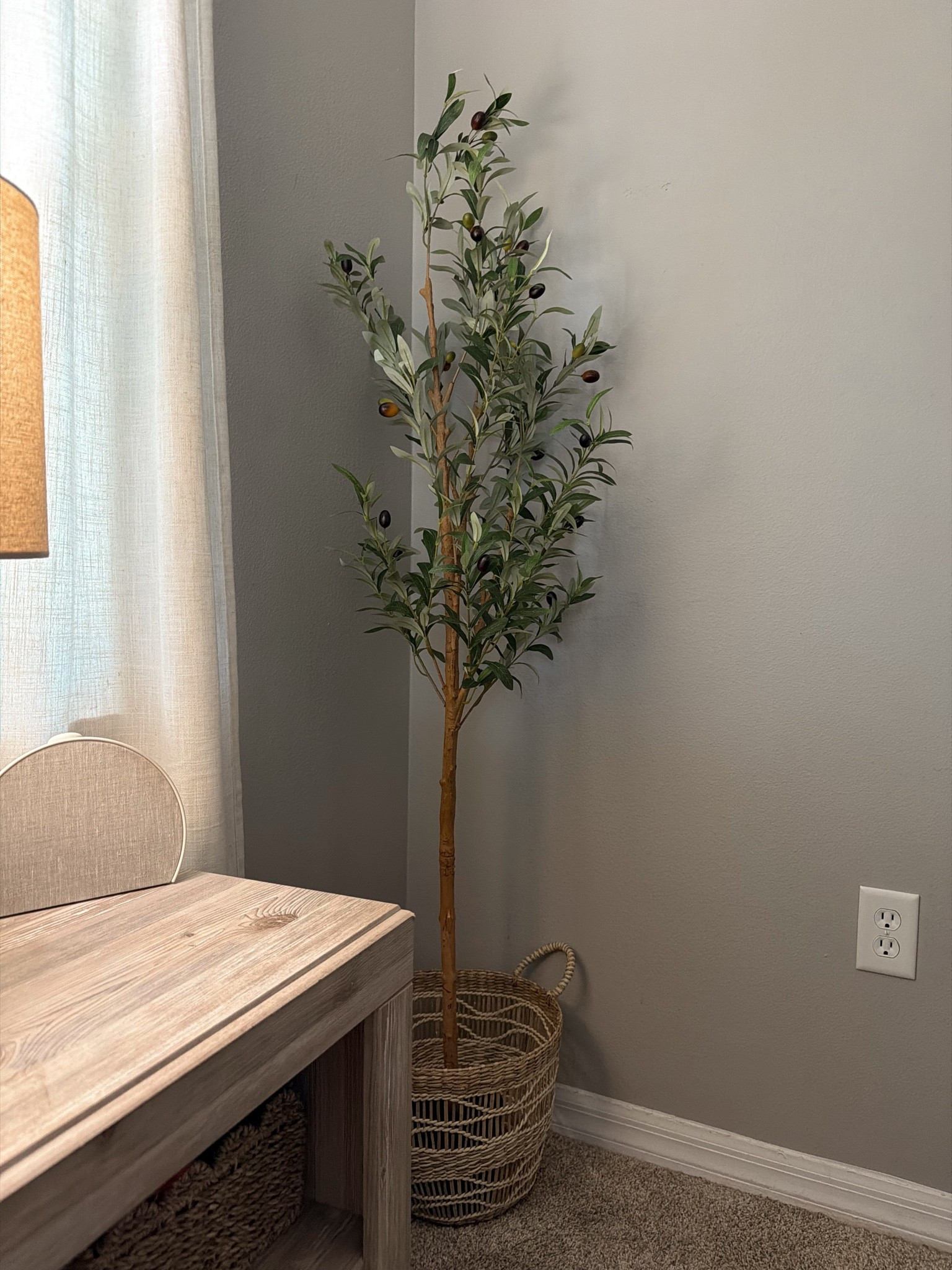 5 foot planted olive tree from WALMART!!!🫒👏🏻

#LTKHome #LTKSeasonal #LTKselfcare