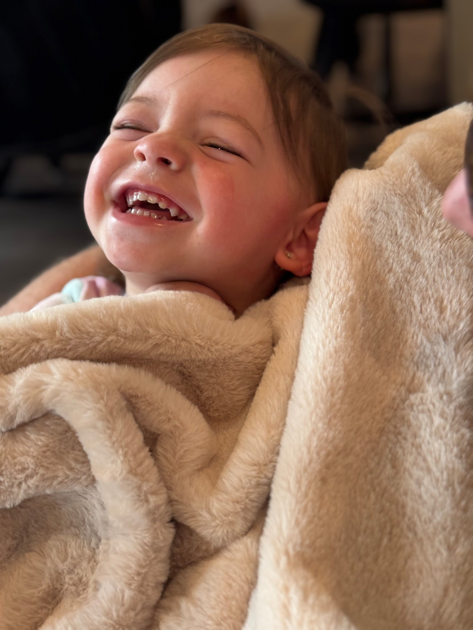 Millie’s new favorite blankets 

#LTKOver40 #LTKU #LTKHome