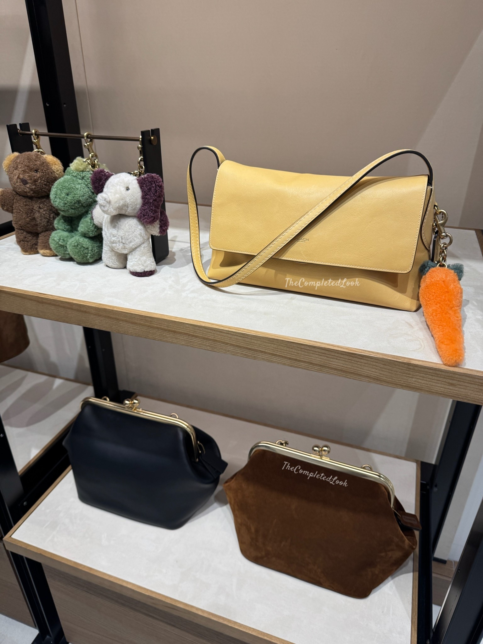 Coach retail #coachbag #coachbags #coachretail #coachkisslock 