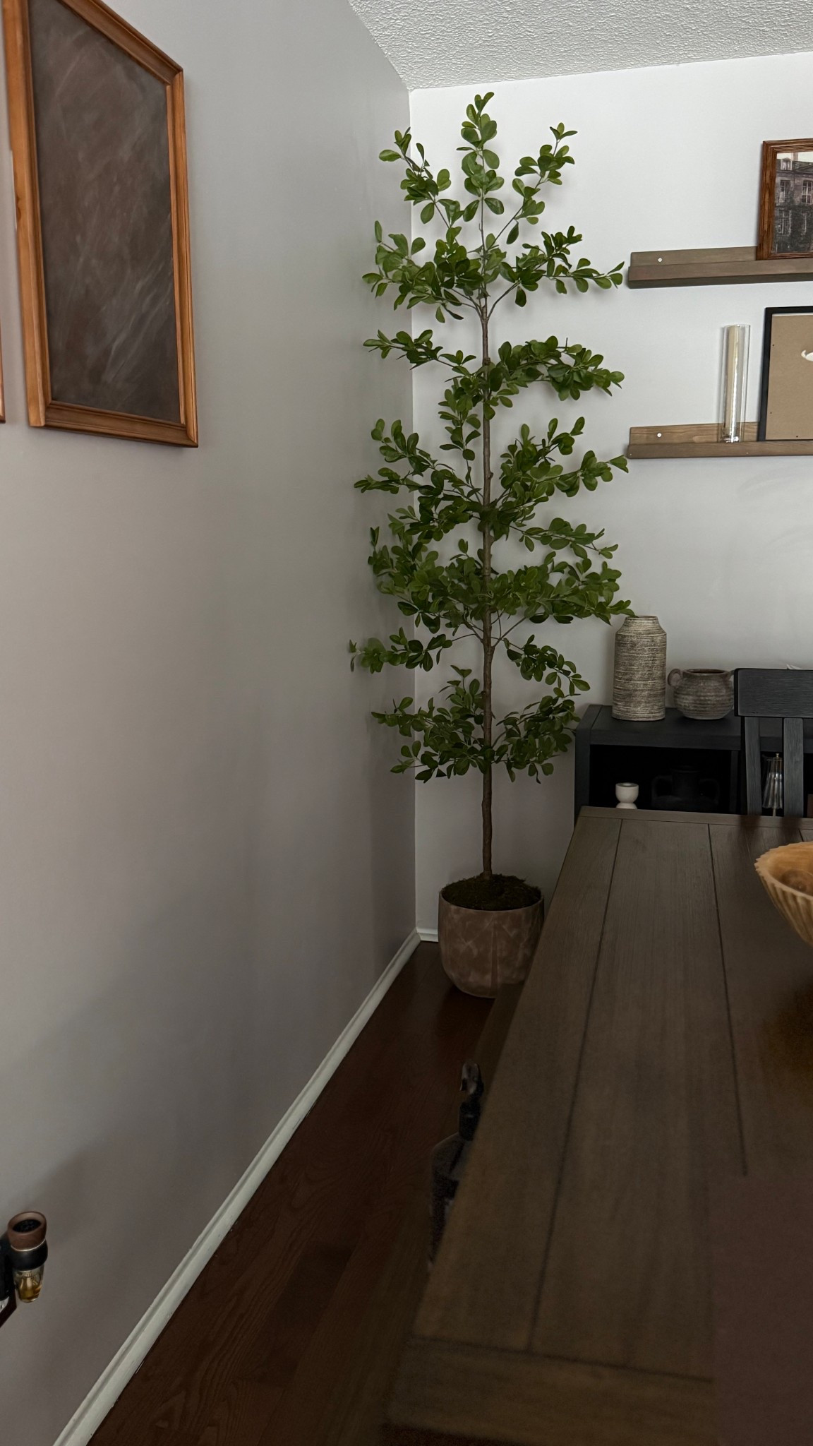 A good tree makes all the difference. This one looks real.

#LTKcanada #LTKhome #LTKsale