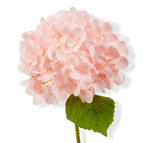 tag Soft Touch Faux Hydrangea Stem Pink Pink Plastic Spring at Nordstrom | Nordstrom
