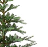 8 Foot King Noble Fir Artificial Christmas Tree 600 LED Lights | King of Christmas