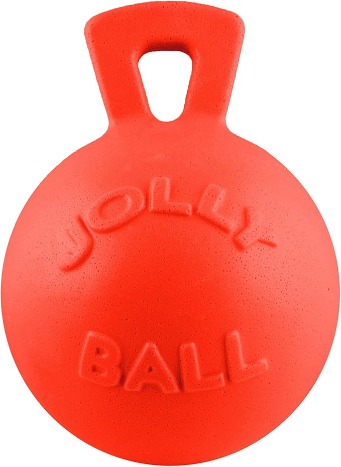 Jolly Pets Tug-n-Toss - Heavy Duty Chew Ball w/ Handle (Orange, 8") | Amazon (US)