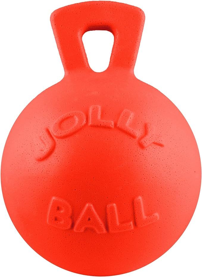 Jolly Pets Tug-n-Toss - Heavy Duty Chew Ball w/ Handle (Orange, 8") | Amazon (US)