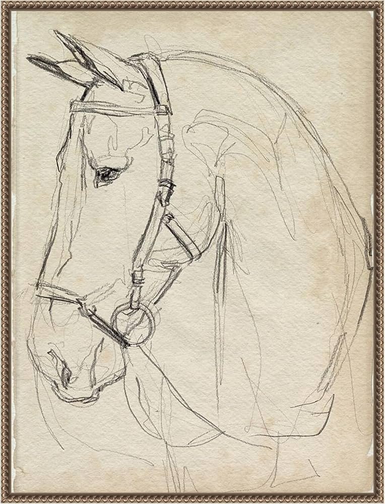 Amanti Art Framed Canvas Wall Art 30x23 Horse in Bridle Sketch II by Jennifer Paxton Parker, Fram... | Amazon (US)