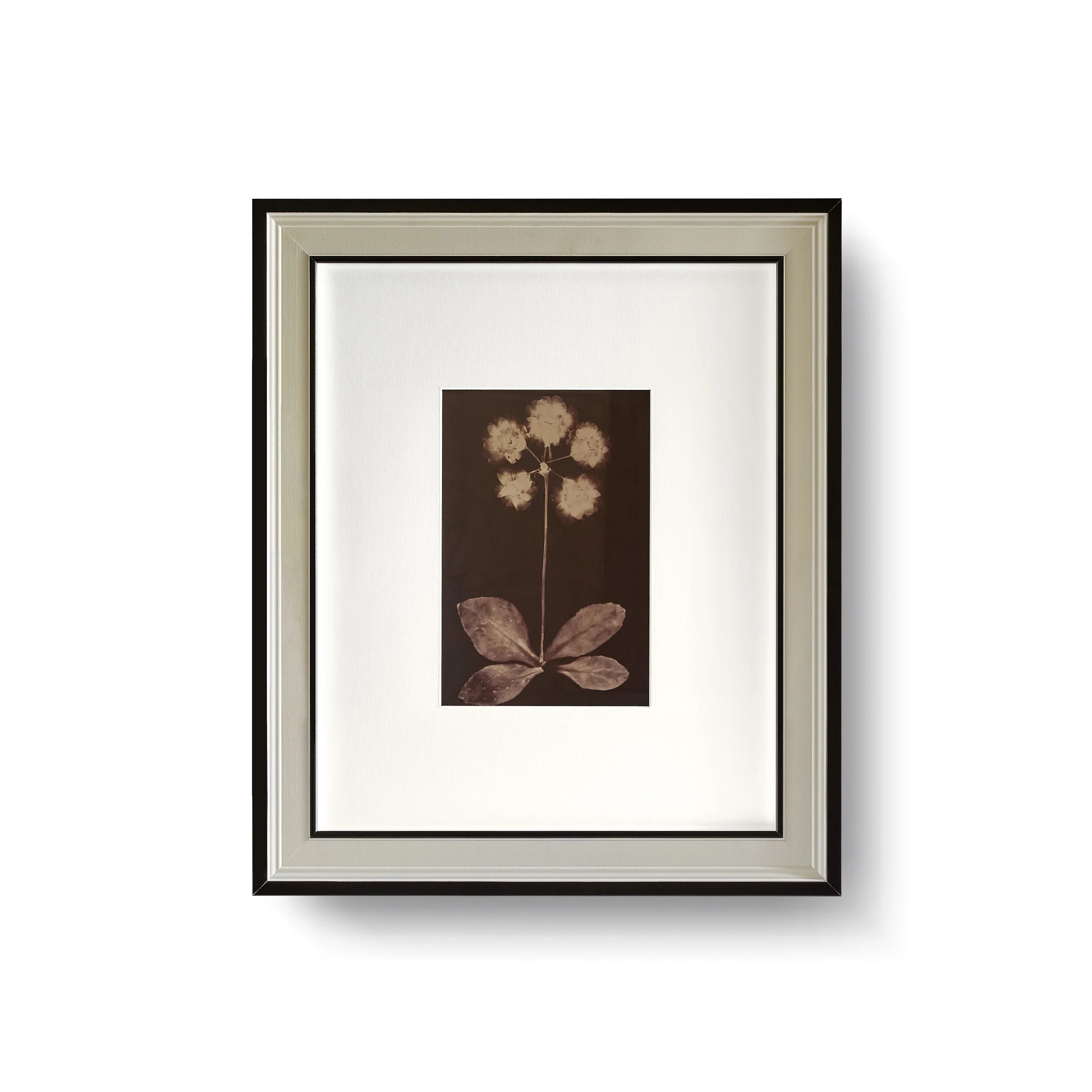 Corso Como | Framebridge