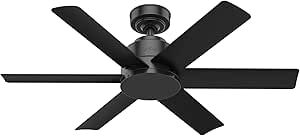 Hunter Fan Company 59613 Hunter Kennicott Indoor, Outdoor Ceiling Fan with Wall Control, 44, Matt... | Amazon (US)