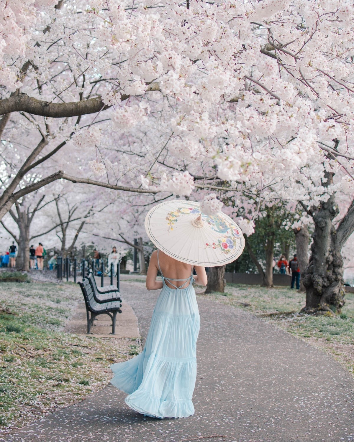 Spring dress
Wedding guest dresses
Blue dresses
Baby blue dresses
