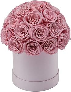 Haolida Preserved Roses That Last a Year Half Ball of 30 Roses in Box (Pink Roses, Round Pink Box... | Amazon (US)