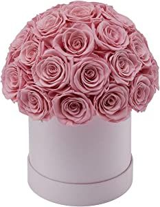 Haolida Preserved Roses That Last a Year Half Ball of 30 Roses in Box (Pink Roses, Round Pink Box... | Amazon (US)