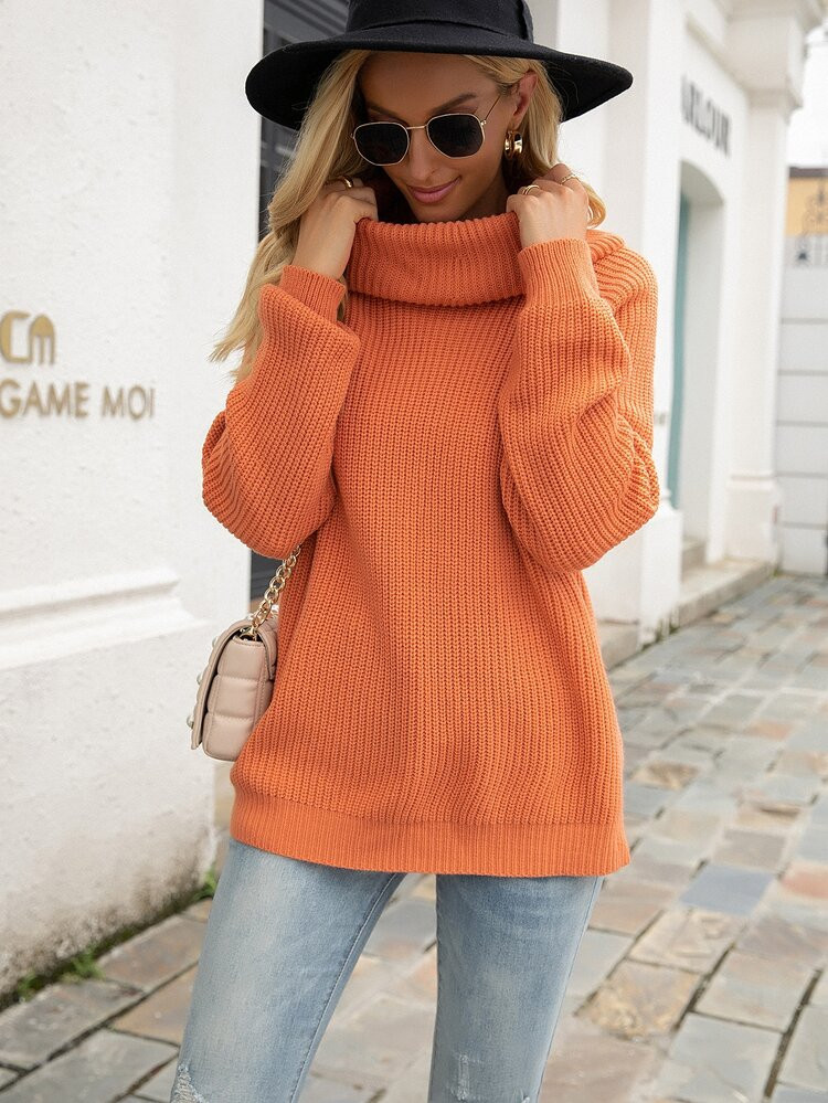 Turtle Neck Raglan Sleeve Sweater | SHEIN