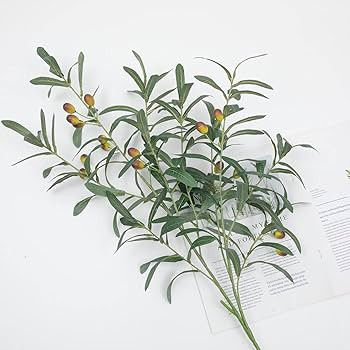 SHACOS 3 PCS Large Artificial Olive Branches for Vases Fake Olive Leaf Stems with Olives 39" Tall... | Amazon (US)