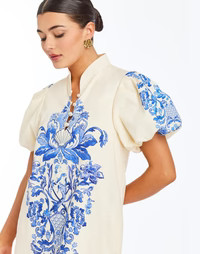 Elliana Printed Mini Dress | Mestiza New York