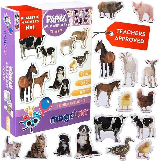 18 Fridge Magnets for Toddlers Magdum - MOM and Baby Kids Magnets for Fridge - Toddler Magnets fo... | Amazon (US)