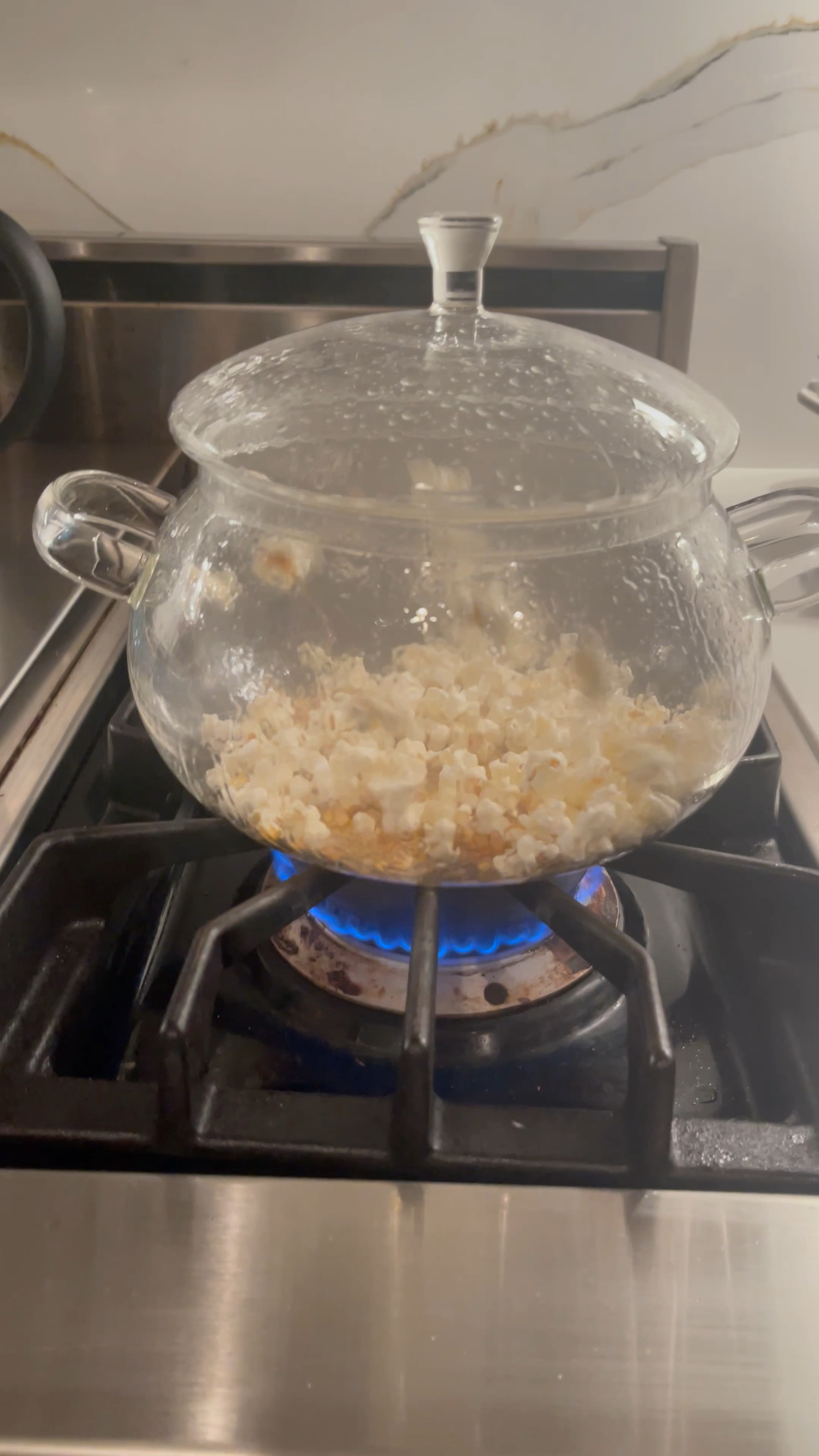 This glass pot is gorgeous and SO fun for cooking with kids so they can see things like popcorn come to life! Very delicate but stovetop, microwave, dishwasher safe.

#LTKunder50 #LTKhome #LTKkids