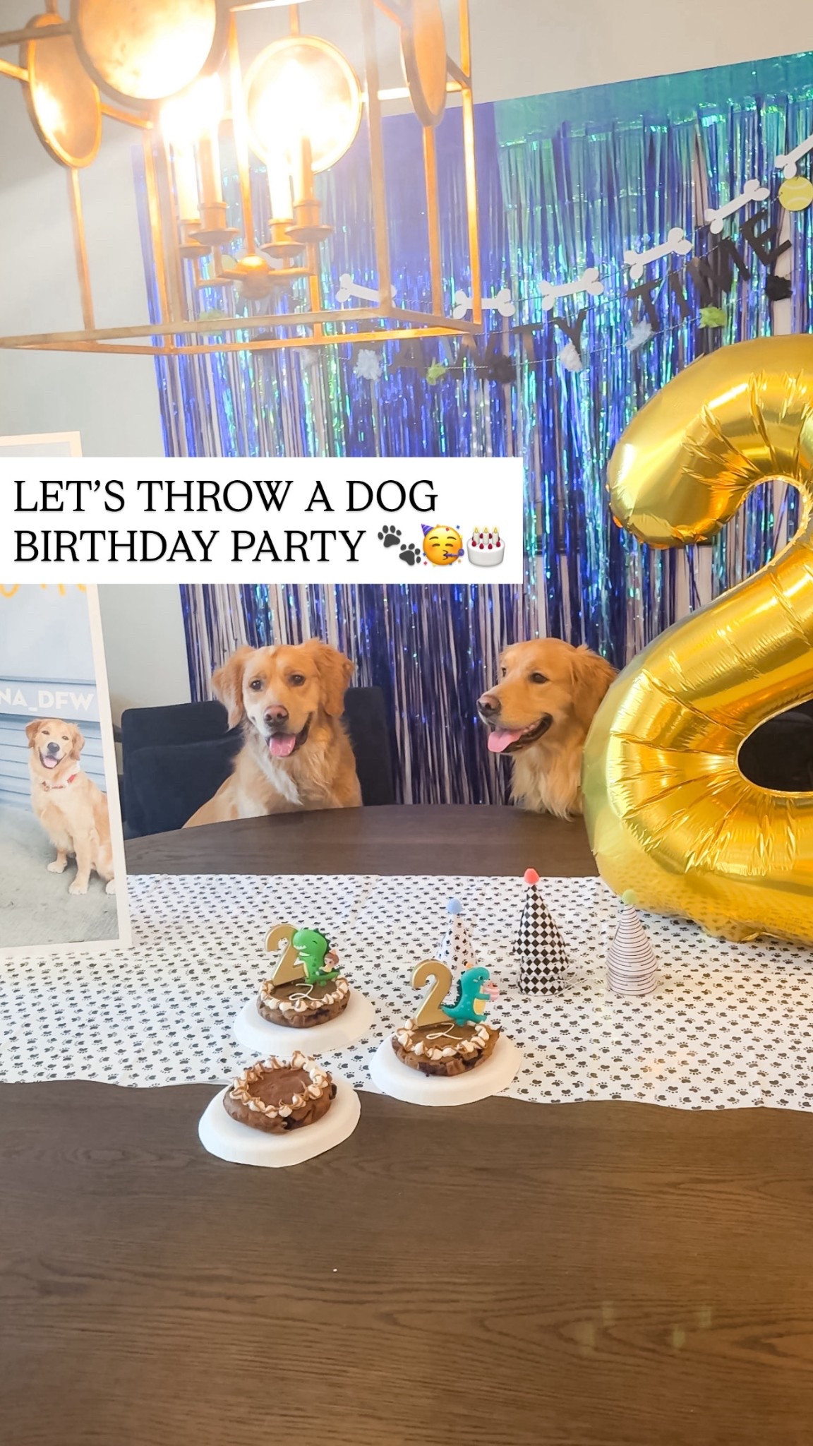 Dog party supplies! 🐾🎉

#LTKmomlife #LTKGiftGuide #LTKKids