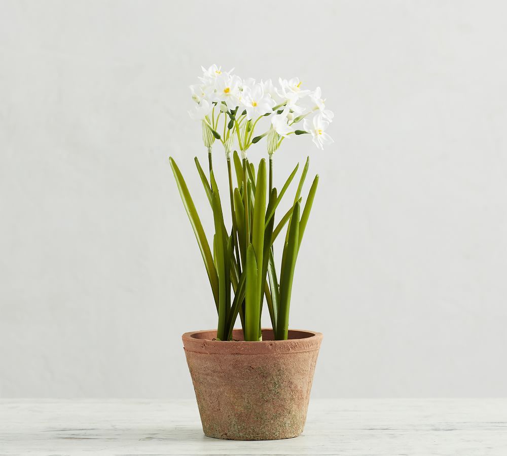 Faux Potted Paperwhites | Pottery Barn (US)