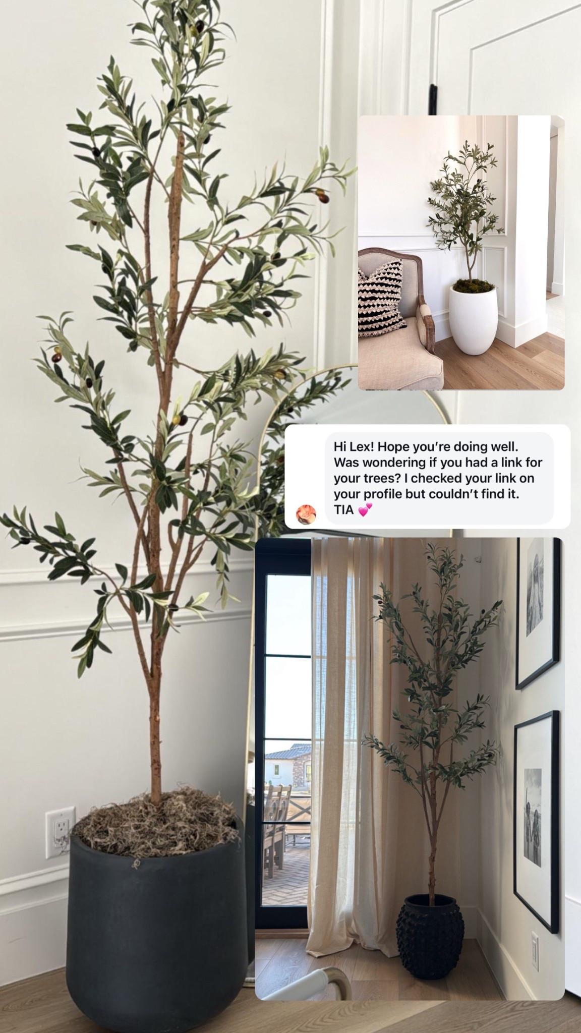 my faux olive trees are back in stock and on mega sale. I LOOOOVE these trees! I have them in almost every room of my house and they add SO much. don’t forget to stack foam or crumpled paper before setting your tree in the pot, then pack paper around the tree to keep it sturdy and cover it with the moss! ✨

#LTKFindsUnder50 #LTKSaleAlert #LTKHome