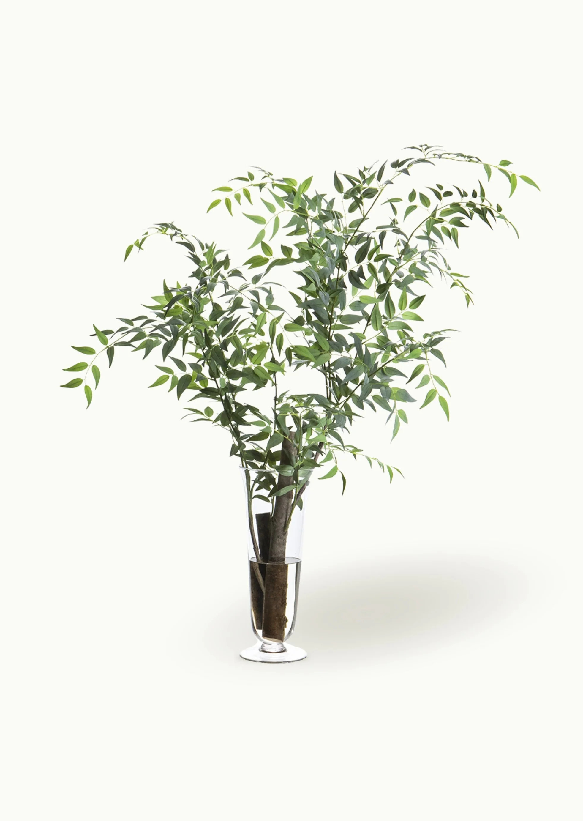 Faux Italian Ruscus Branch Glass Vase Arrangement - 45" | Afloral