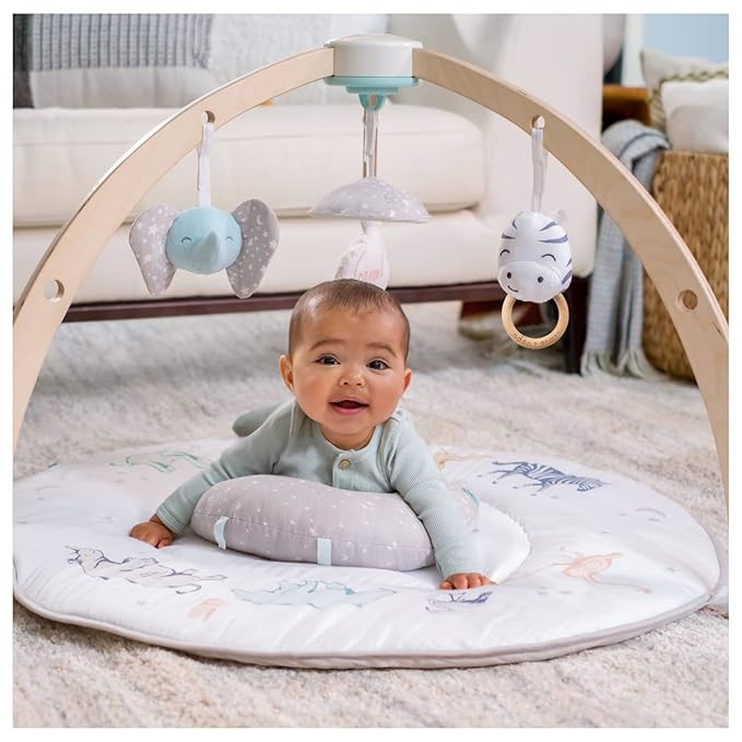 aden + anais Play and Discover Baby Activity Gym – 30+ Developmental Benefits - 3 Attachable To... | Amazon (US)