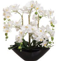 White Orchid Flower Arrangement in Vase 18"", 56 Detailed Silk Heads, Decorative Black Ceramic Vase, | Etsy (US)