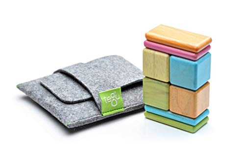 8 Piece Tegu Pocket Pouch Magnetic Wooden Block Set, Tints | Amazon (US)