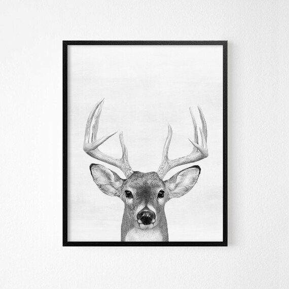 Deer animal art digital print - Nursery room interior decor - Black and white modern print for in... | Etsy (US)