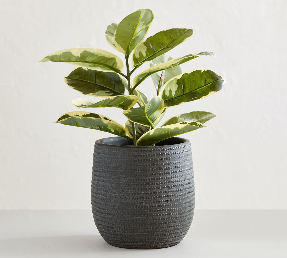 Cosgrove Handcrafted Ceramic Planters | Pottery Barn (US)