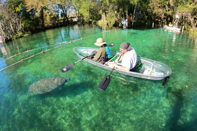 Clear Kayak Manatee Ecotour of Crystal River | Viator – A TripAdvisor Company (US)
