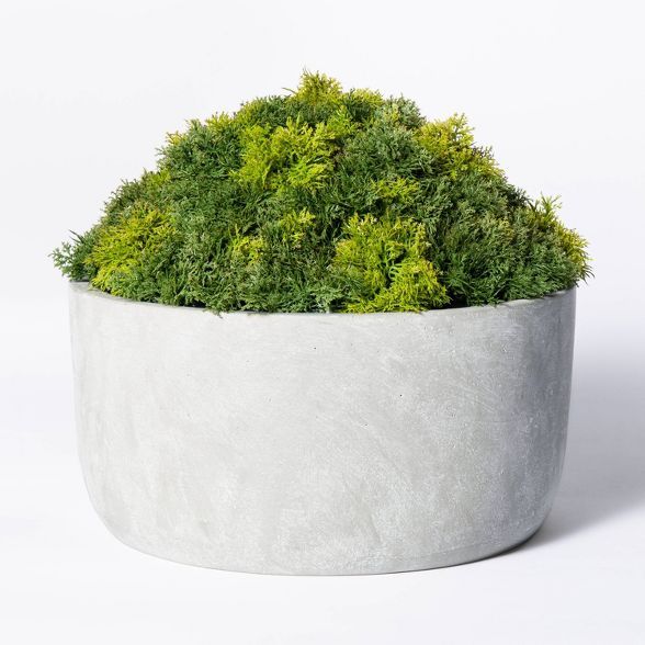Faux Moss in Basket Green - Threshold™ designed with Studio McGee | Target