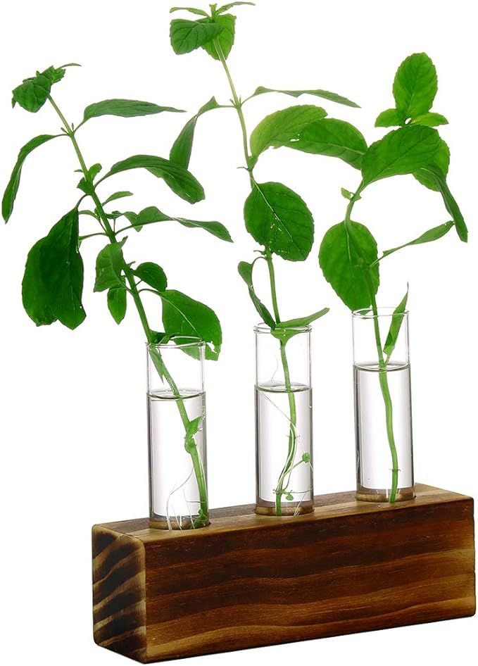 Ivolador 3 Crystal Glass Test Tube Vase Flower Pots for Hydroponic Plants Home Garden Decoration | Amazon (US)