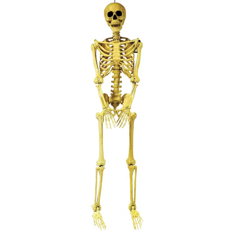 Halloween Express  5 ft Skeleton Pose & Hold Decoration | Target