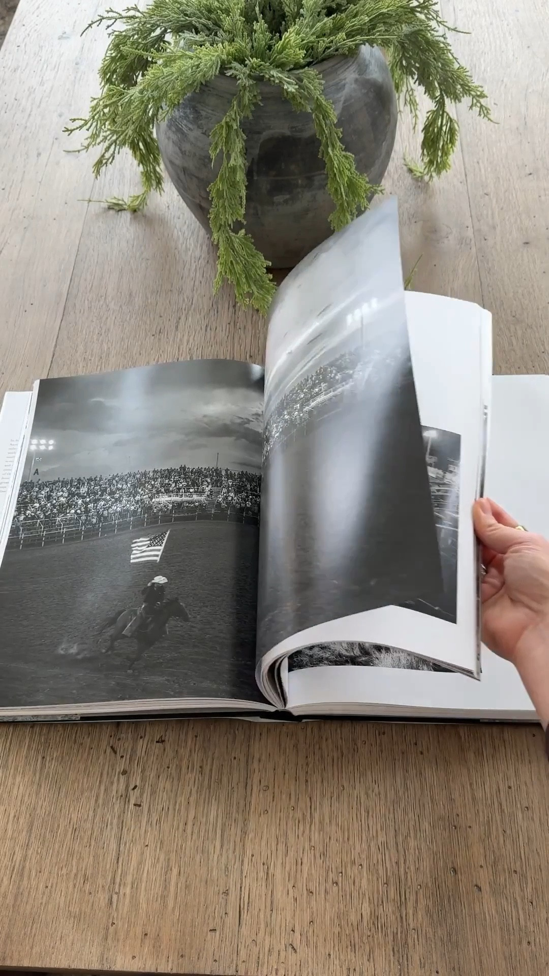 Home | Home Decor | Home Finds | Modern Home | Neutral Home | Neutral Style | Arched Manor | Coffee Table Book | Textured Vase | Spring Decor | Book | Amazon Finds | Wayfair Home | Amazon Home | Pillows #homedecor #archedmanor #modernhome #neutralstyle 


#LTKHome #LTKSeasonal