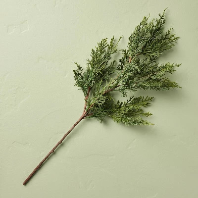Cedar Stem - Hearth & Hand™ with Magnolia | Target