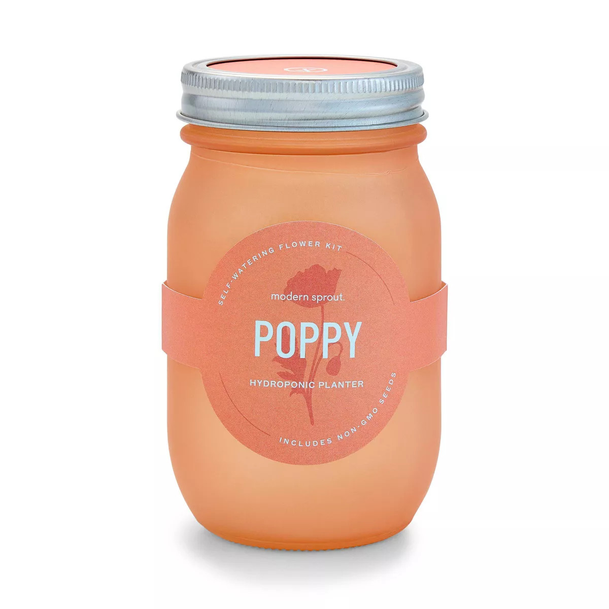 Modern Sprout Pint Jars Garden Seed Kits | Target