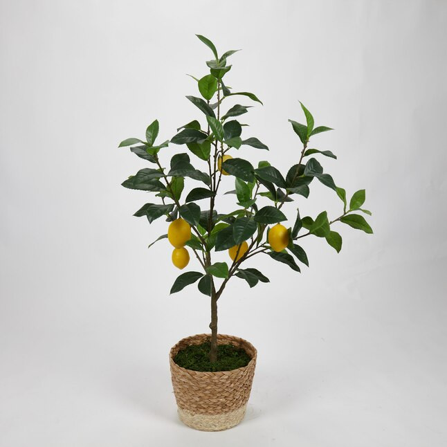 allen + roth 33-in Green Indoor Artificial Fruit Artificial Plant | Lowe's