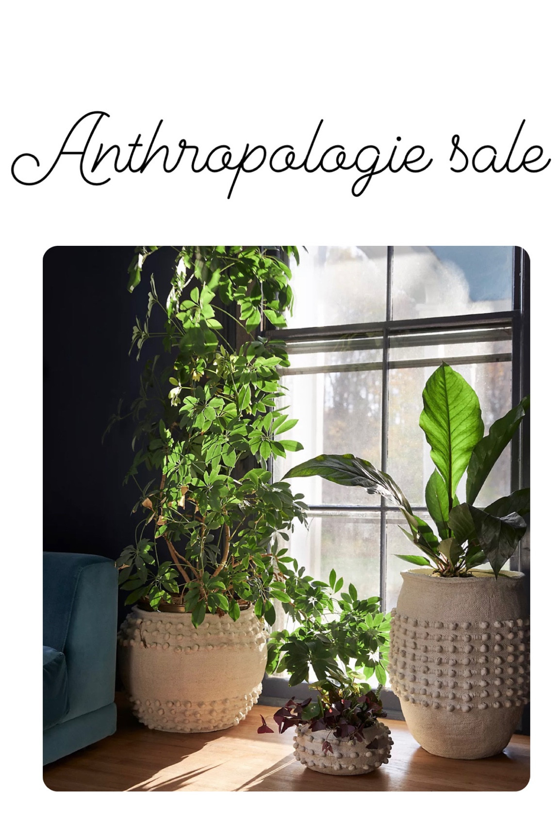 Lots of anthro home on sale right now! The minka pot is my favorite, now I need it in black 

#LTKSale #LTKsalealert #LTKunder100