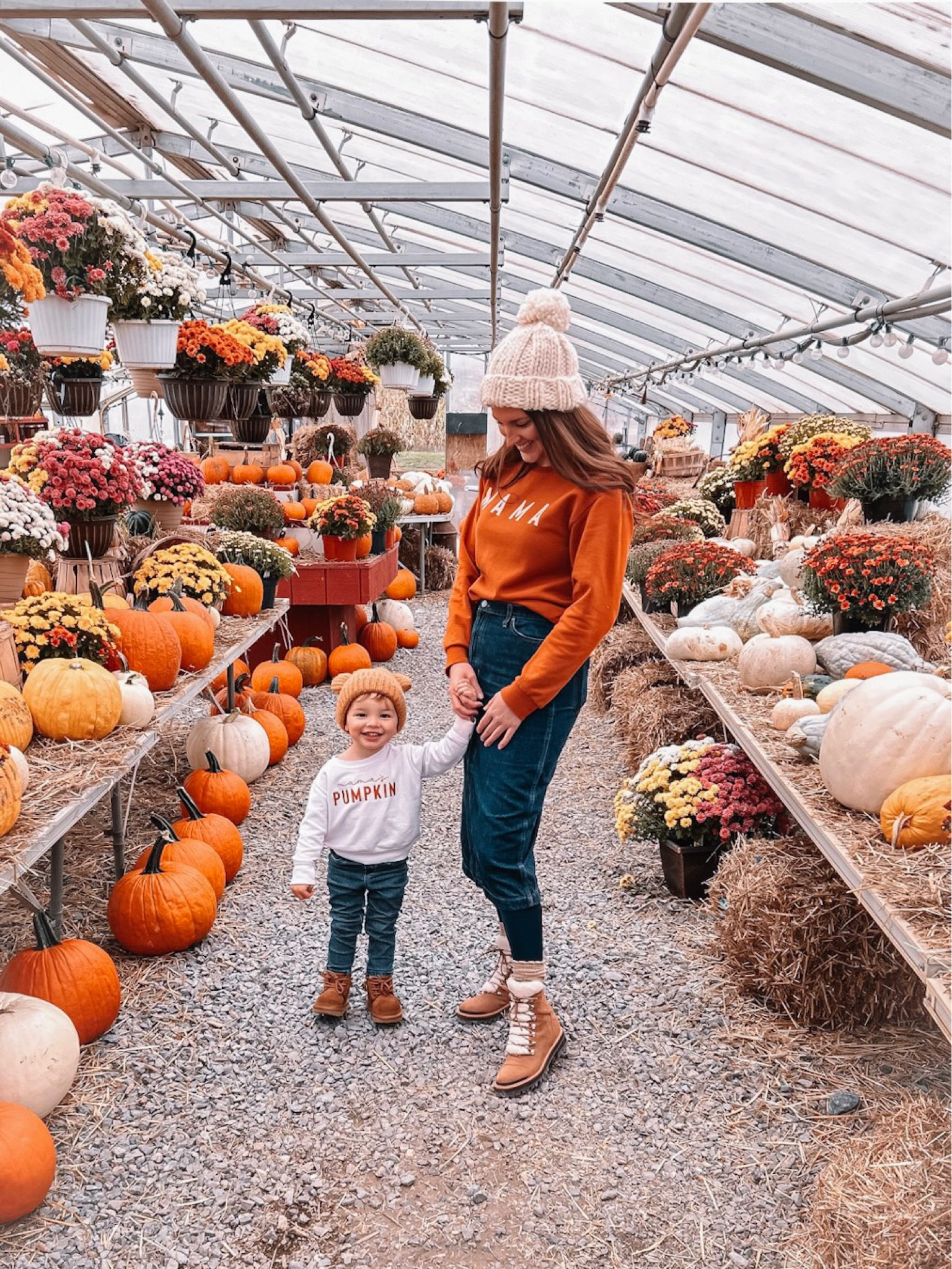 Pumpkin patch 
