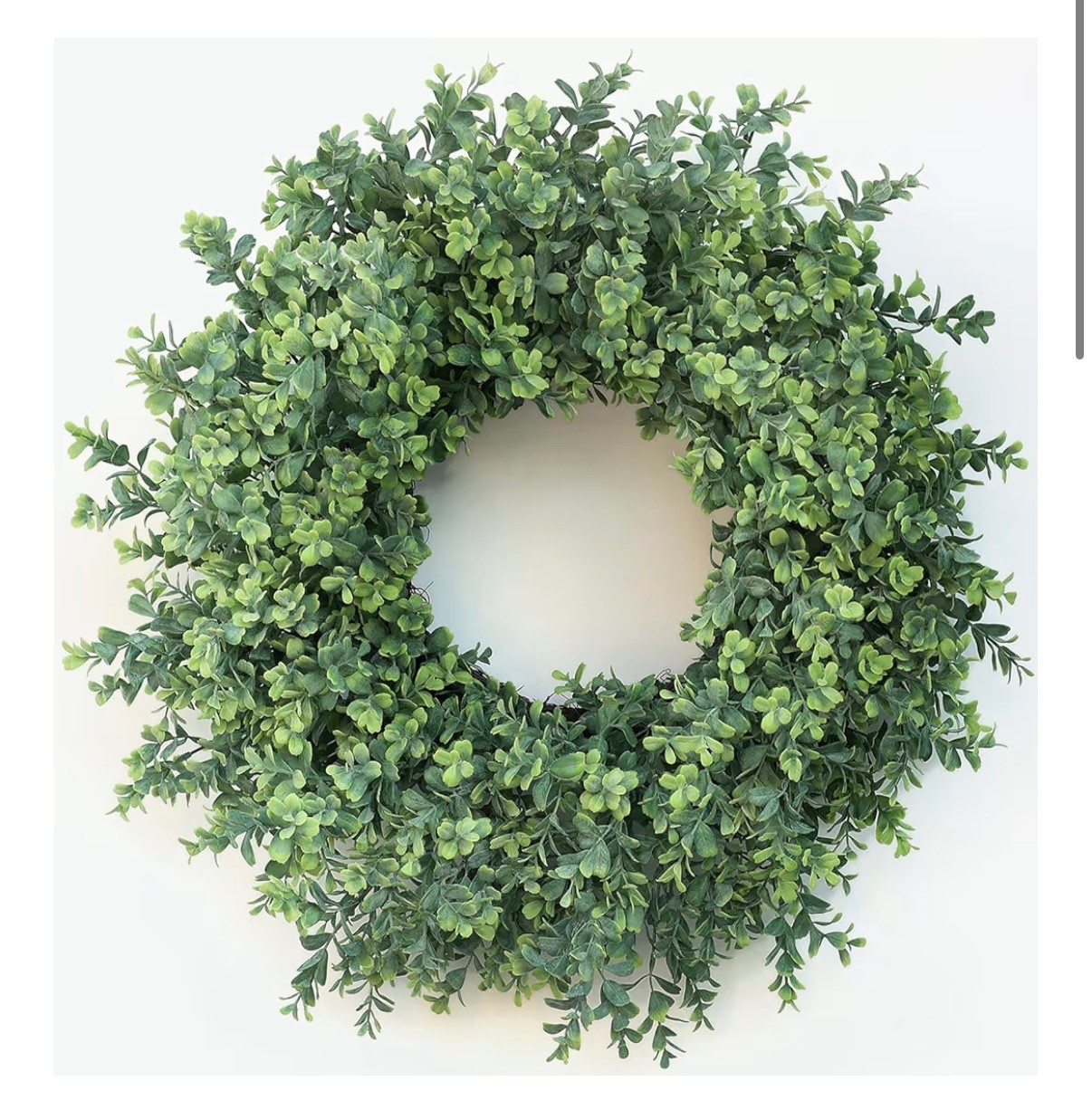 Amazon wreath!

#LTKHome