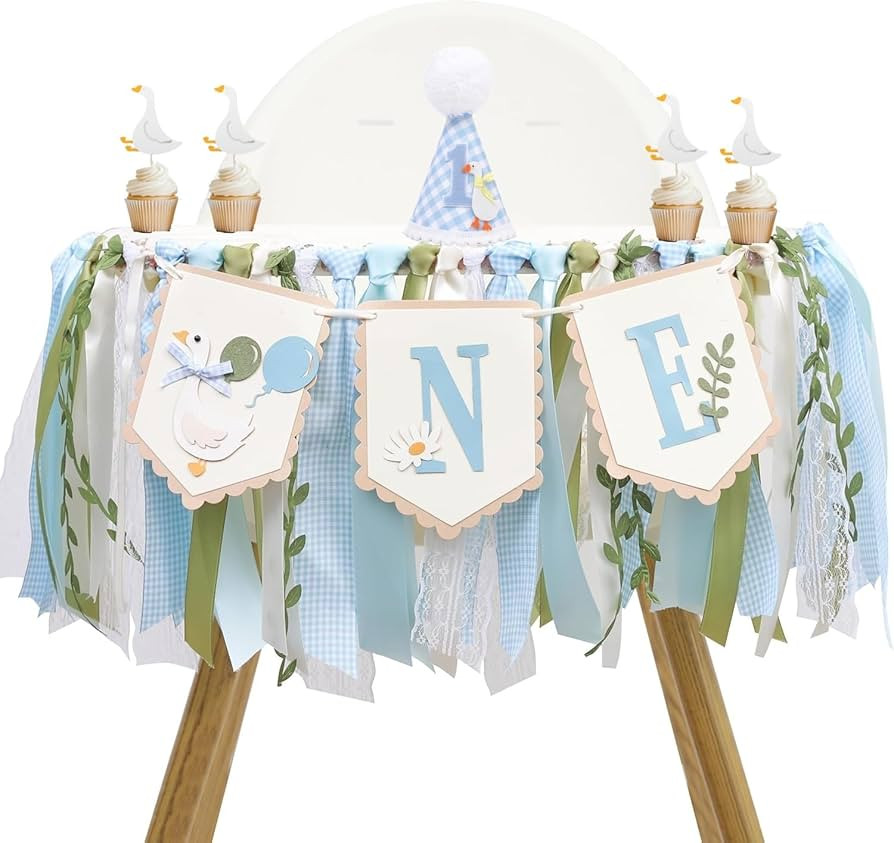 One Silly Goose Birthday Decor for Boy, Goose High Chair Blue Banner, 1st Birthday Party Hat, Sil... | Amazon (US)