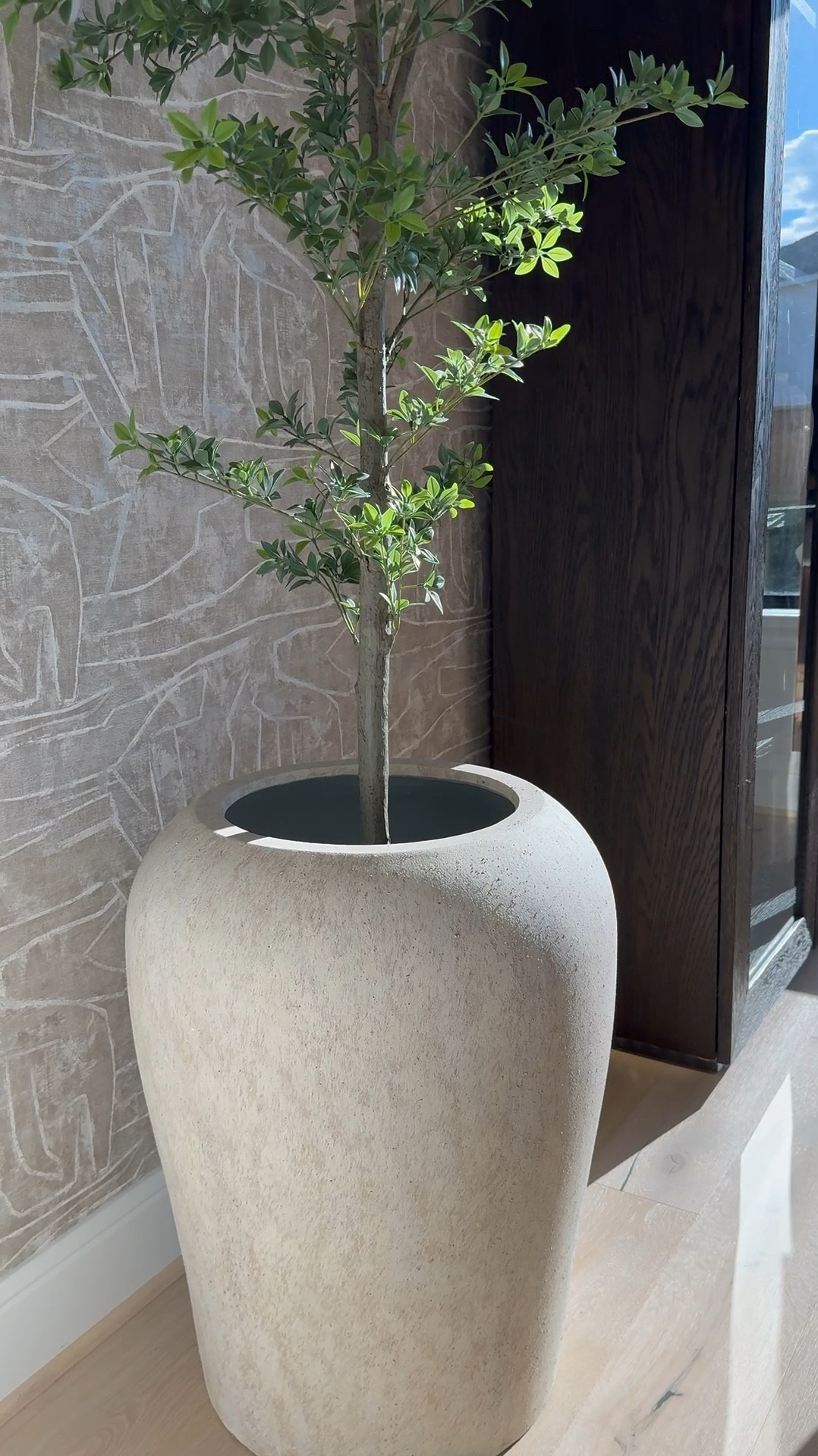 I am absolutely loving this planter from Pottery Barn! It's gorgeous, and the best part is that it's so versatile - it works perfectly for both bigger trees and smaller ones too! 🌳 I love it so much that I actually ended up buying another one, haha! 😆 It's definitely a game-changer for decorating any space. 

#LTKVideo #LTKSaleAlert #LTKHome