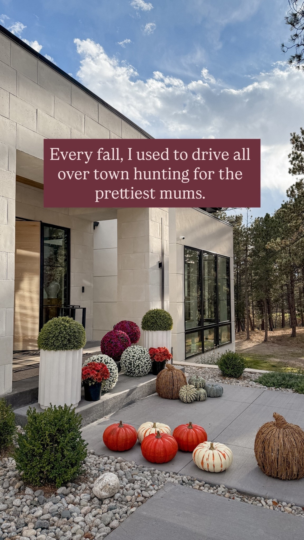 I found the best solution for your fall front porch! Every fall, I used to drive all over searching for the best mums and it took so much work to keep them in good conditions. These faux mum are stunning and you can use them over and over again.

#LTKSeasonal #LTKStyleTip #LTKHome