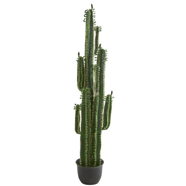 78'' Faux Cactus Plant in Pot | Wayfair North America
