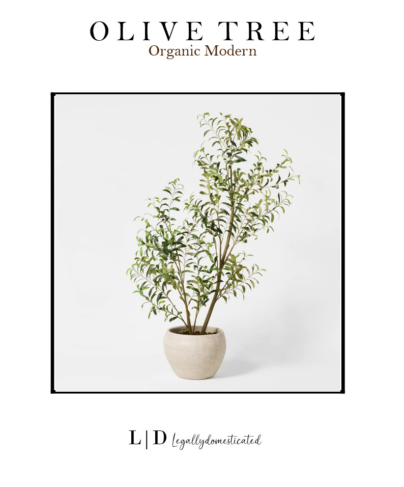 Can you even? I can't wait to see this one in person. LOVE! Perfect for a Spring Refresh. 

 #LTKSeasonal #LTKHome #LTKSaleAlert