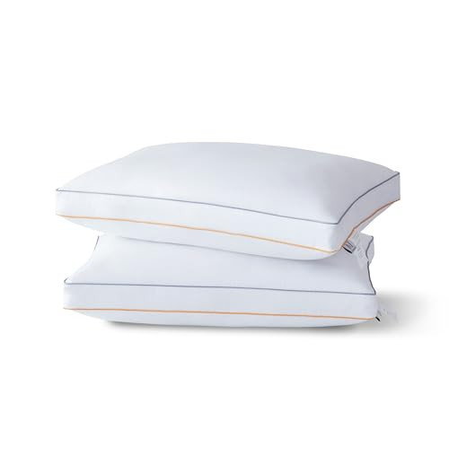 Luxury Hotel Pillow, Queen Pillows Set of 2, Fluffy Down Alternative 100% Microfiber, Bed Pillows, Neck Support for Side & Back Sleepers Apartment Essentials, Couch & Sofa Pillows Cozy Bedding Decor | Amazon (US)