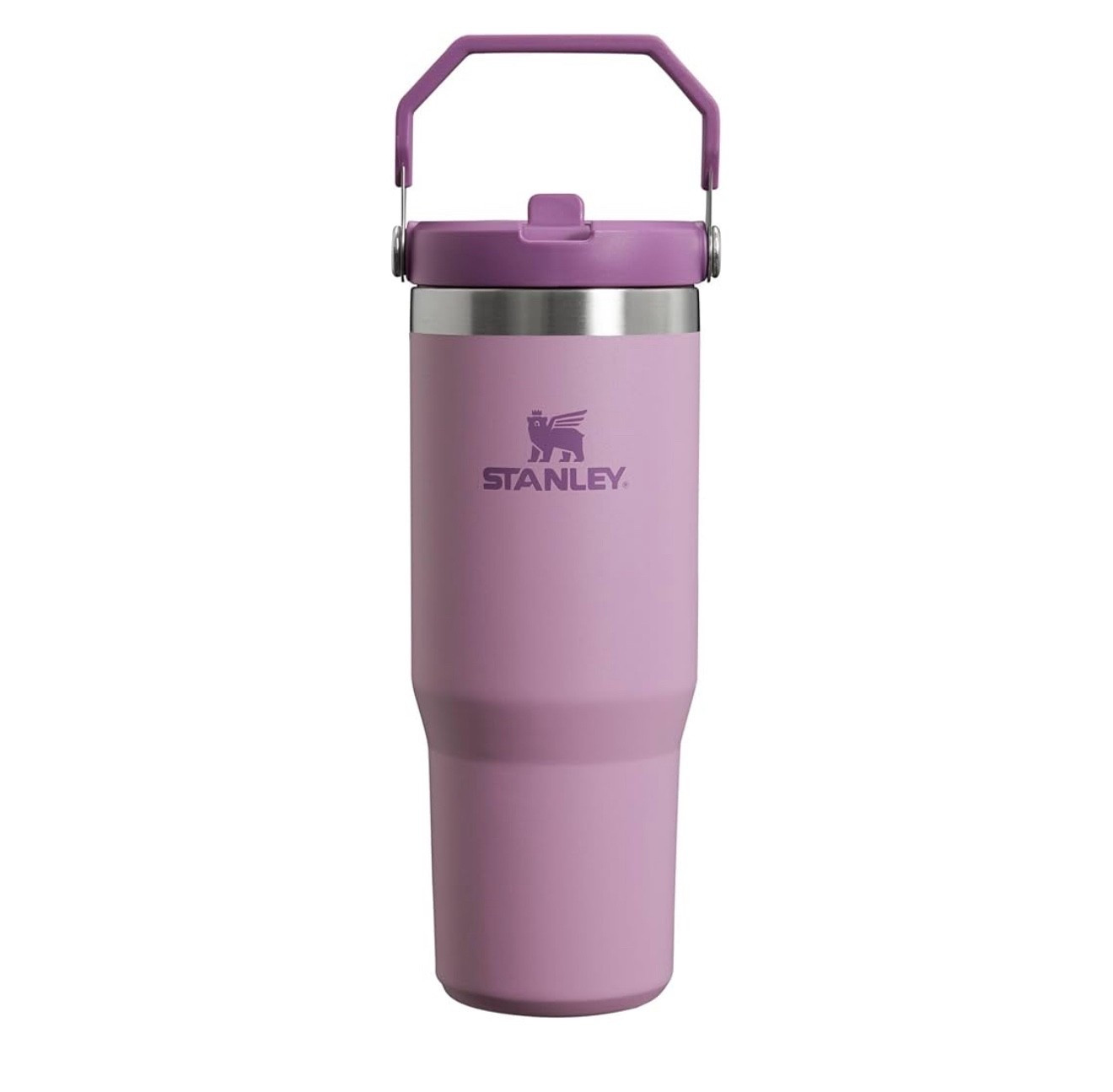 Stanley IceFlow Flip Straw Tumbler with Handle 30 oz 

#LTKActive