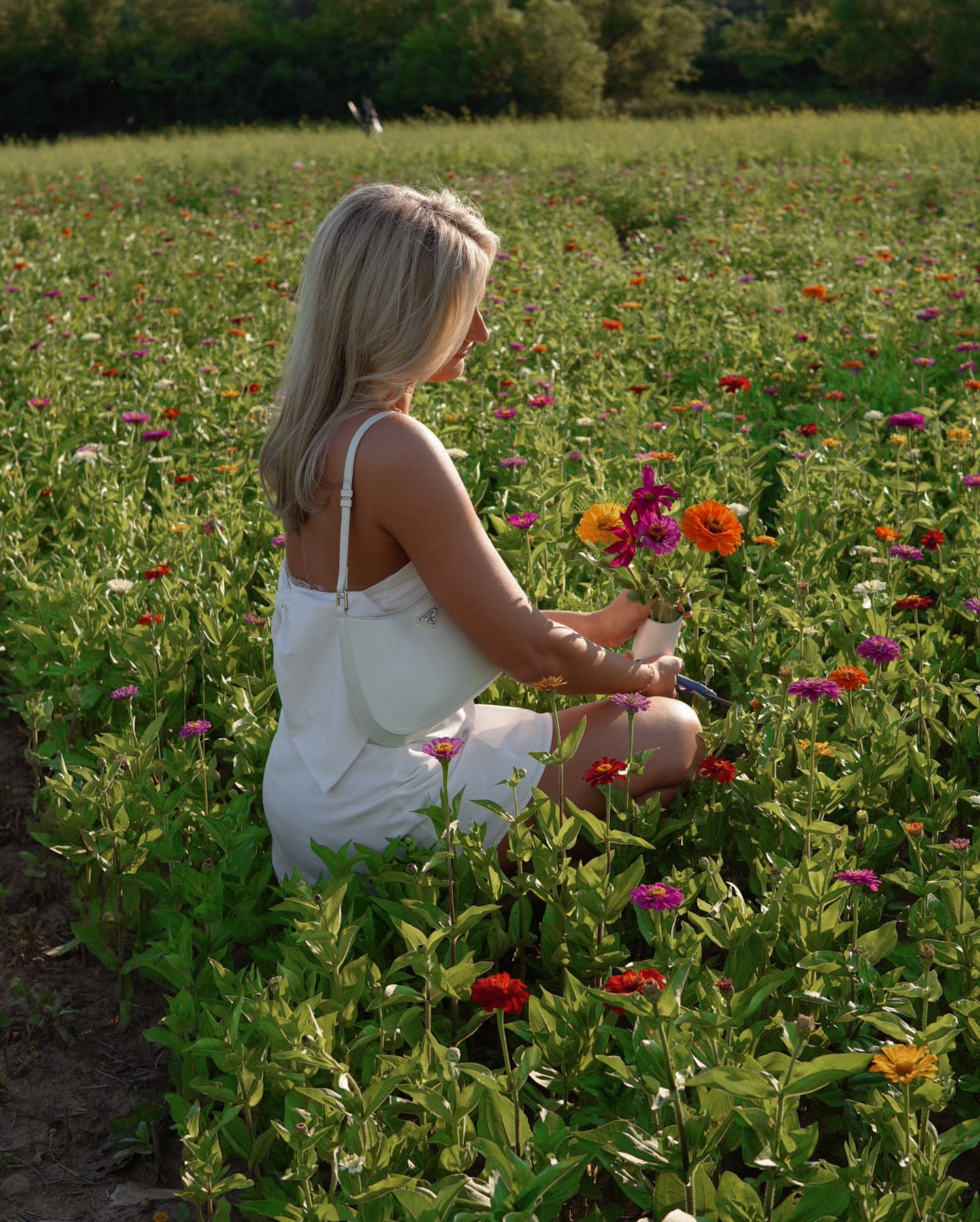 whimsical wildflower summer 🌸🌷

Wildflower picking is the perfect summer adventure! There’s a special magic in creating your own bouquet that makes it so meaningful. For all of my local Columbus friends, @mitchells_berries wildflower field is now open!